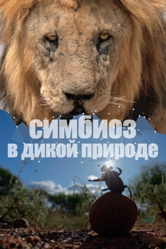 Симбиоз в дикой природе (2023) смотреть онлайн