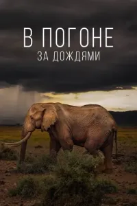 В погоне за дождями (2022) смотреть онлайн